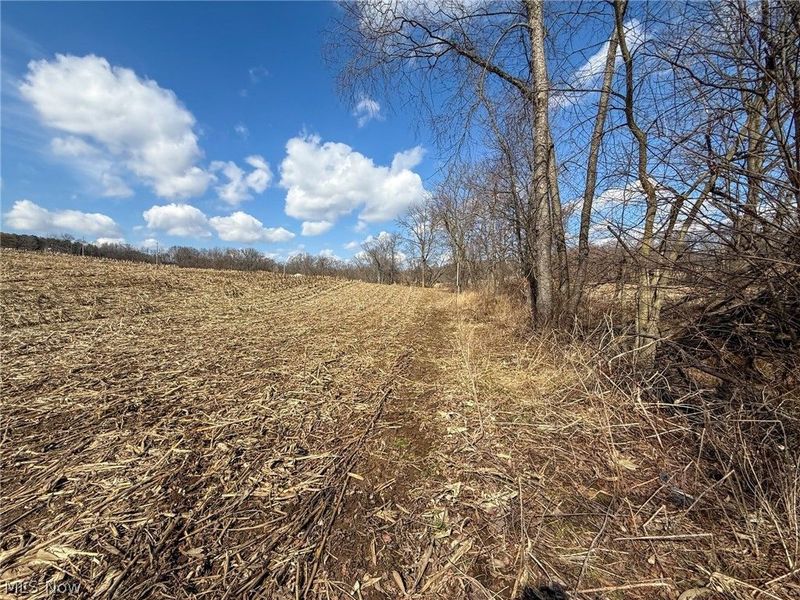 St Rt 603, Lucas, OH 44843 Photo 13