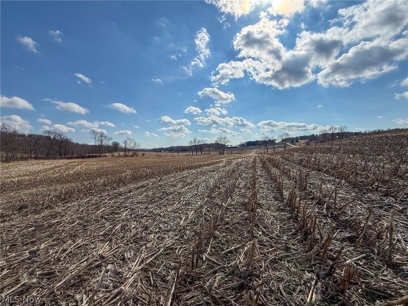 St Rt 603, Lucas, OH 44843 Photo 16