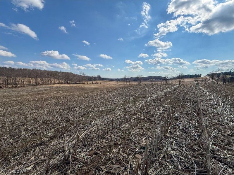 St Rt 603, Lucas, OH 44843 Photo 17