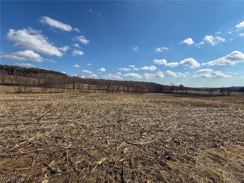 St Rt 603, Lucas, OH 44843 Photo 5