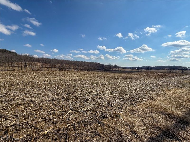 St Rt 603, Lucas, OH 44843 Photo 6