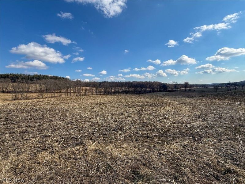 St Rt 603, Lucas, OH 44843 Photo 8