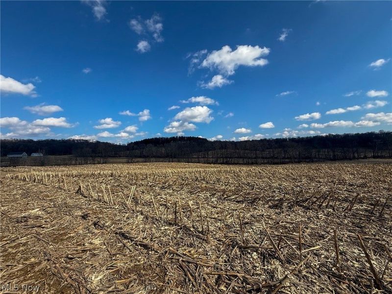 St Rt 603, Lucas, OH 44843 Photo 9