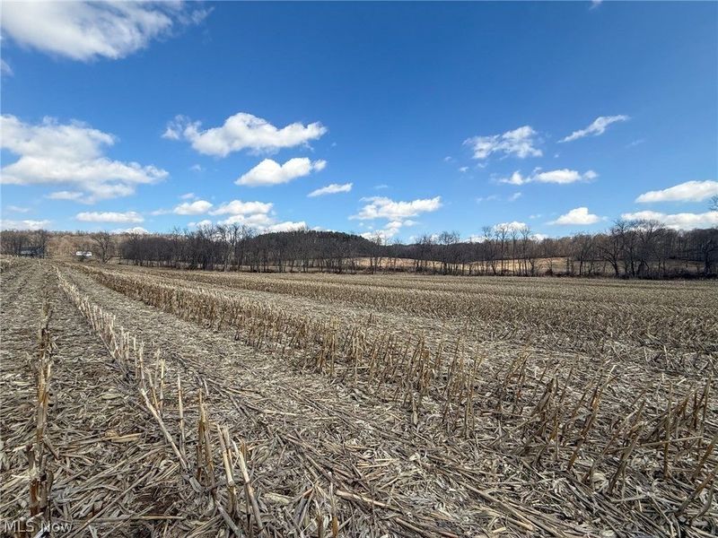 St Rt 603, Lucas, OH 44843 Photo 10