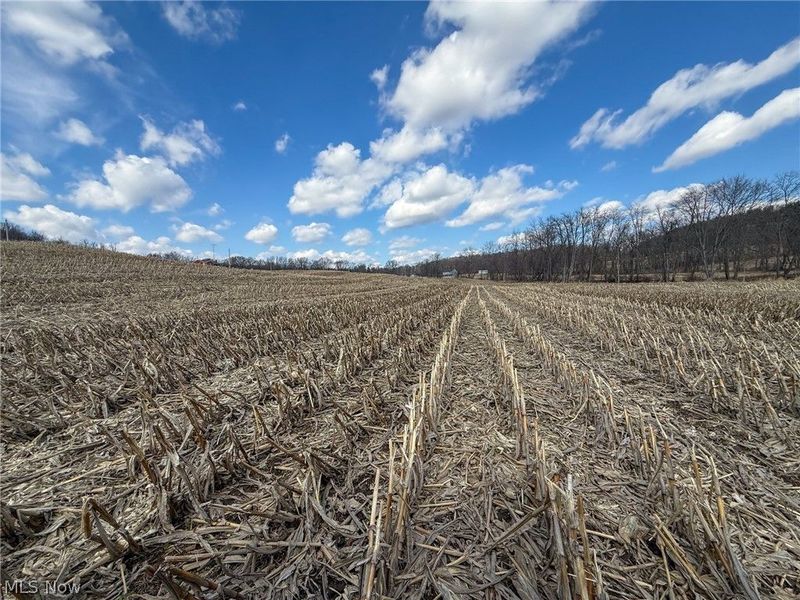 St Rt 603, Lucas, OH 44843 Photo 11