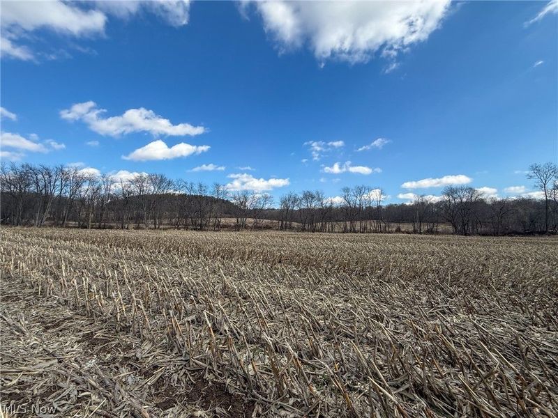 St Rt 603, Lucas, OH 44843 Photo 12