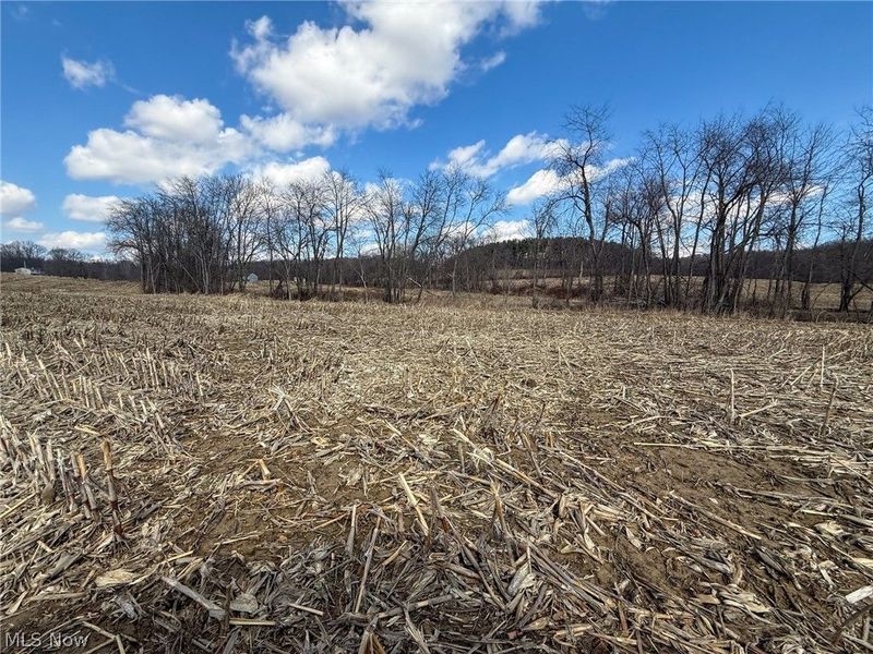 St Rt 603, Lucas, OH 44843 Photo 13