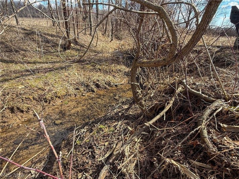 St Rt 603, Lucas, OH 44843 Photo 15