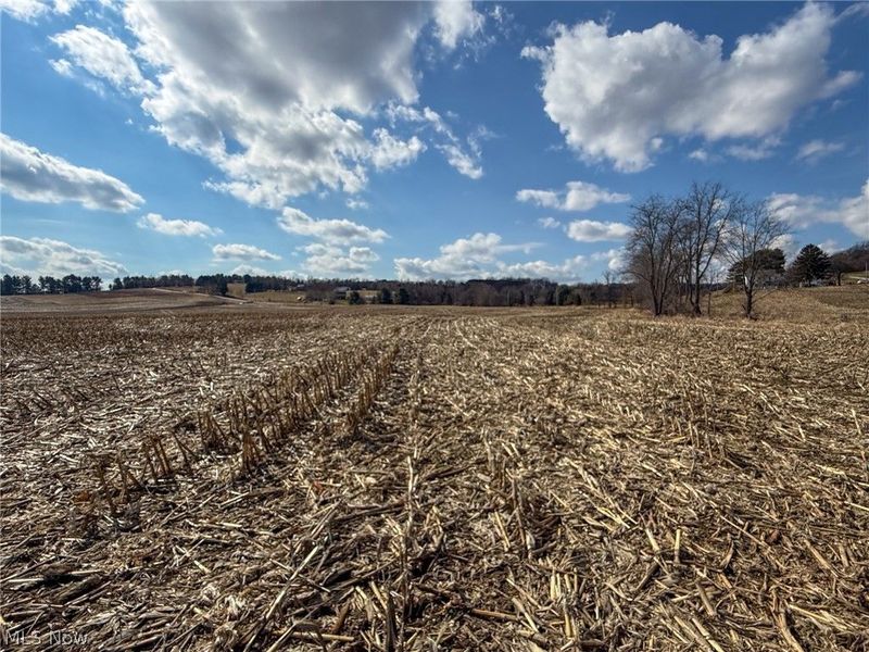 St Rt 603, Lucas, OH 44843 Photo 16