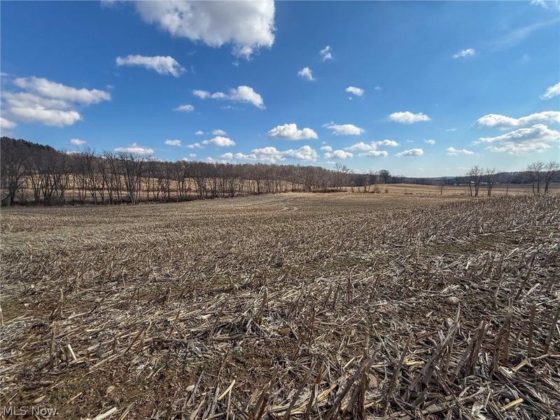 St Rt 603, Lucas, OH 44843 Photo 4