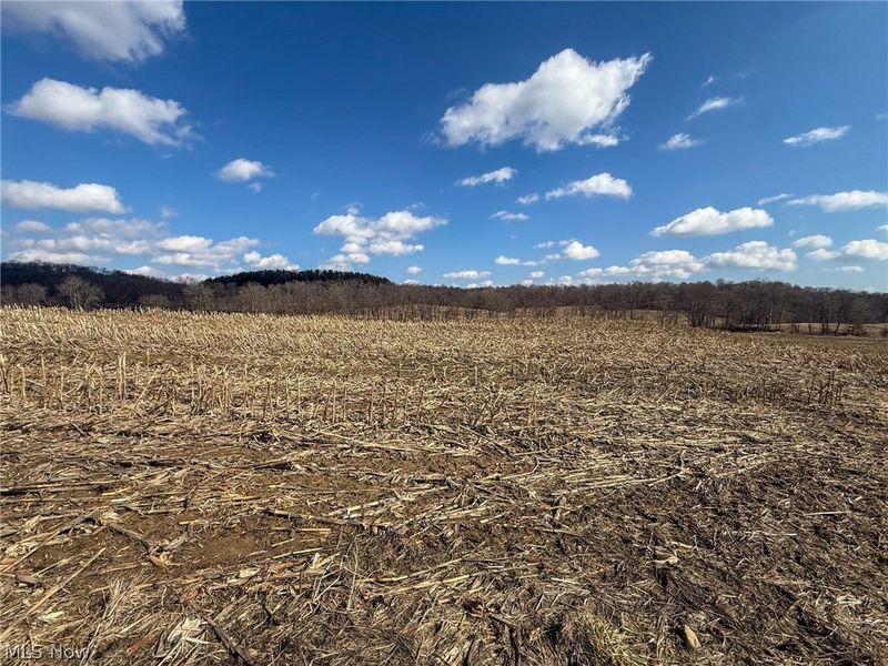 St Rt 603, Lucas, OH 44843 Photo 5