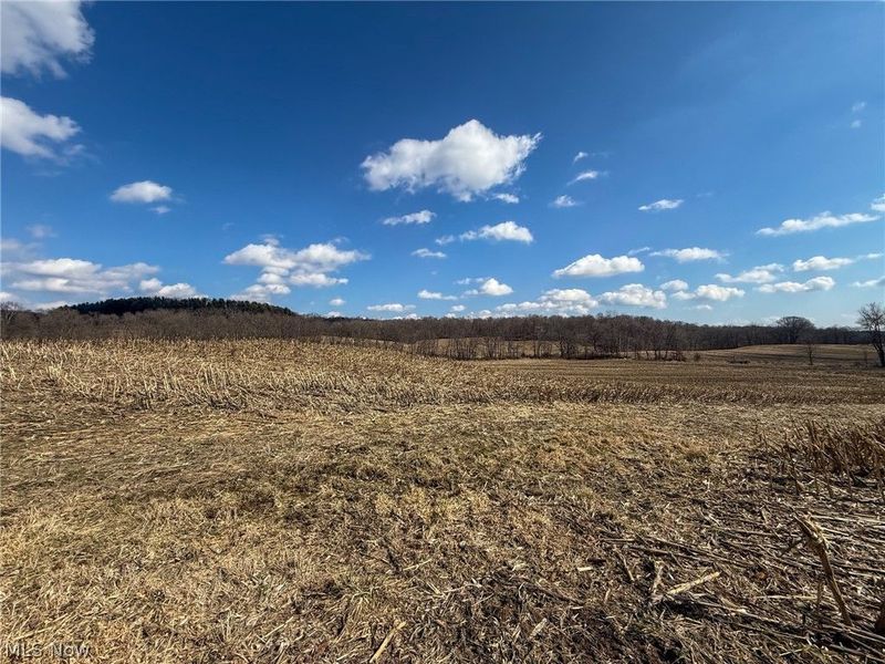 St Rt 603, Lucas, OH 44843 Photo 6