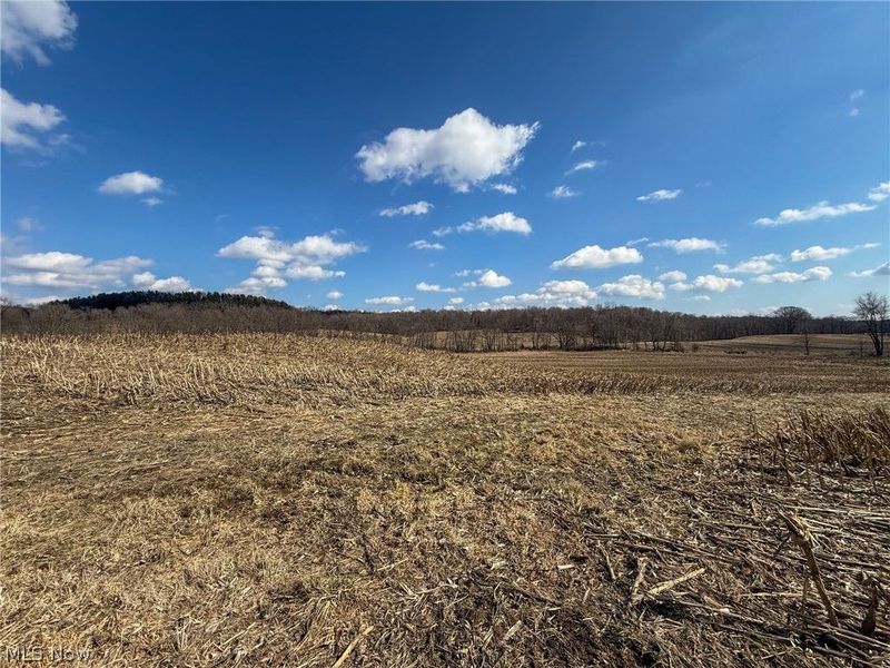 St Rt 603, Lucas, OH 44843 Photo 7