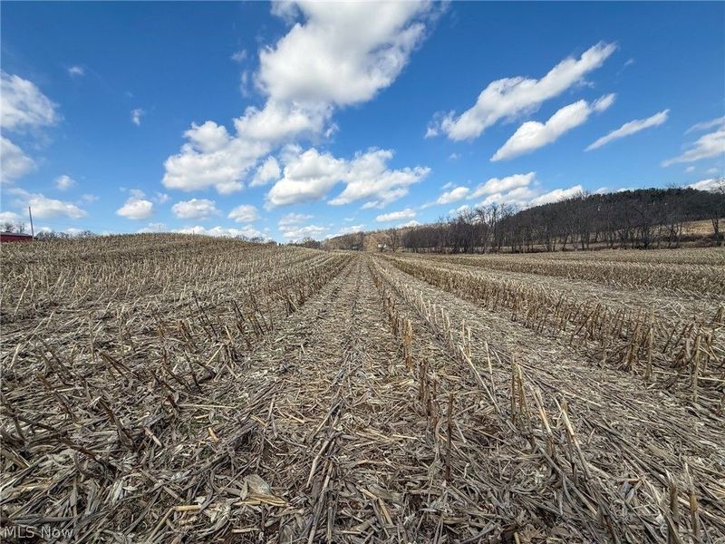 St Rt 603, Lucas, OH 44843 Photo 9