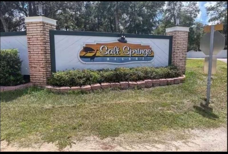 25246 NE 143rd Street , Unit 181, Salt Springs, FL 32134 Photo