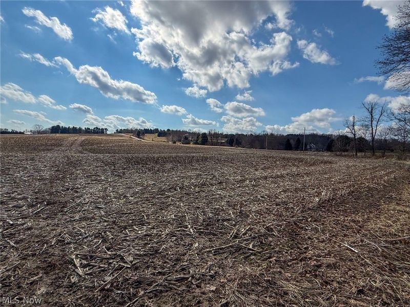 St Rt 603, Lucas, OH 44843 Photo 10