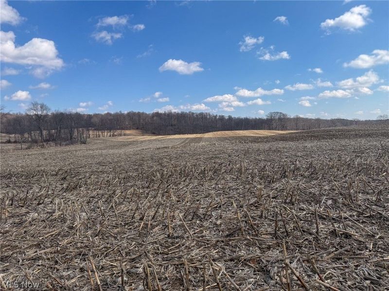 St Rt 603, Lucas, OH 44843 Photo 11