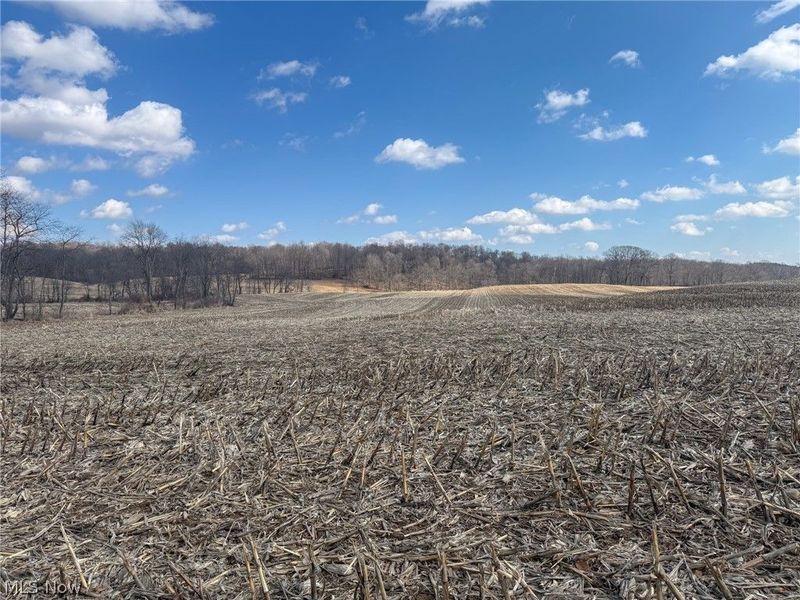 St Rt 603, Lucas, OH 44843 Photo 12