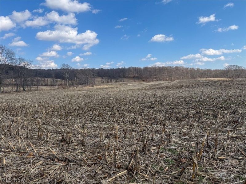 St Rt 603, Lucas, OH 44843 Photo 13