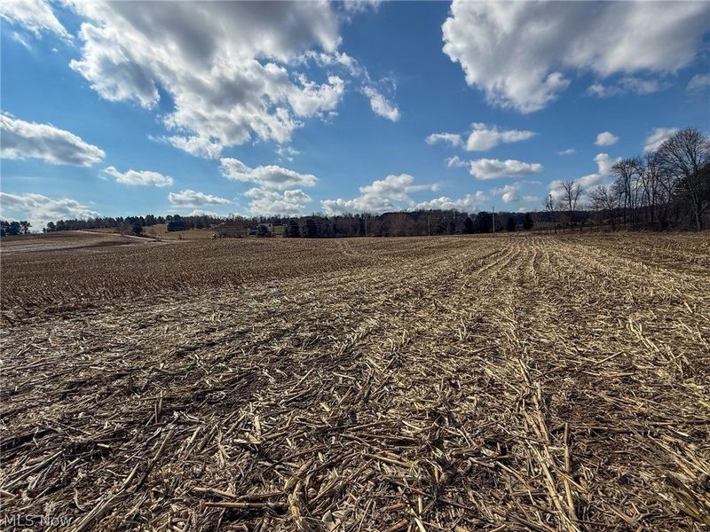 St Rt 603, Lucas, OH 44843 Photo 7