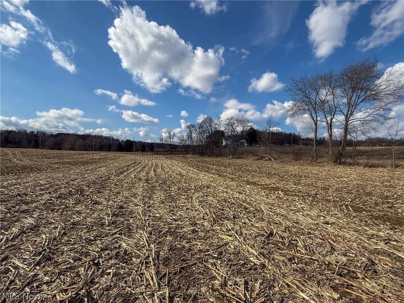 St Rt 603, Lucas, OH 44843 Photo 8