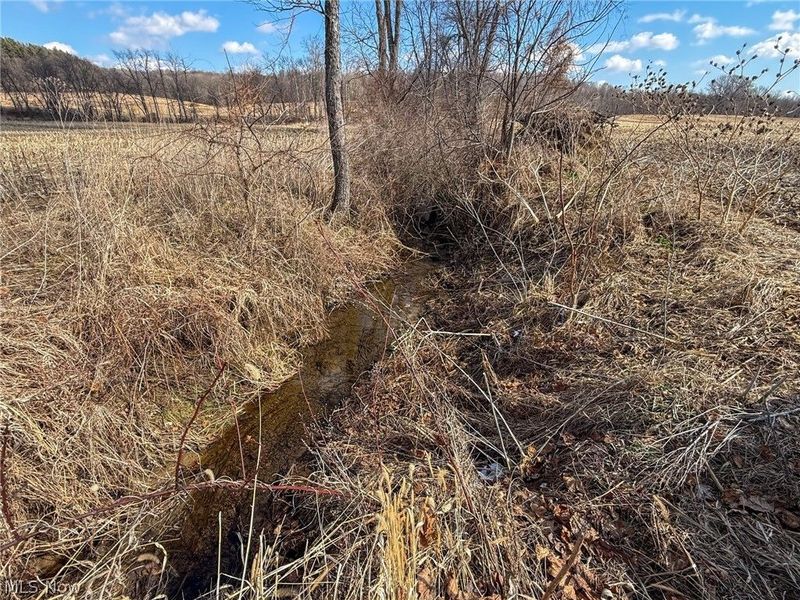 St Rt 603, Lucas, OH 44843 Photo 9