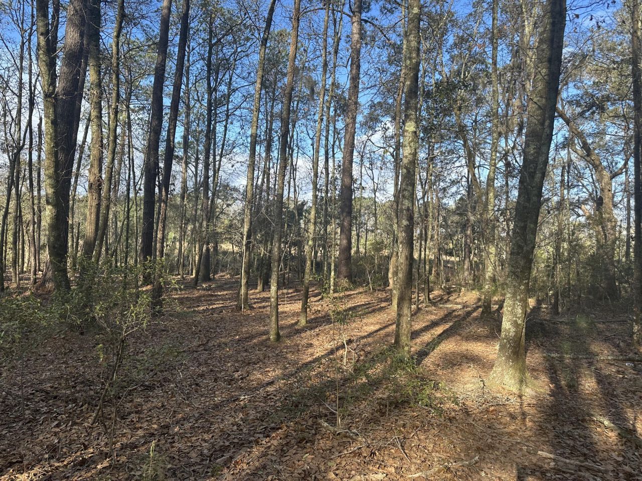 0 Cooke Road Photo 2