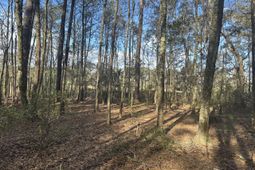 0 Cooke Road photo 4