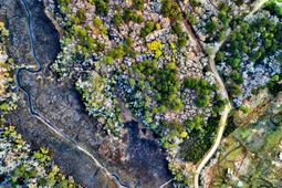 0 Cooke Road photo 4