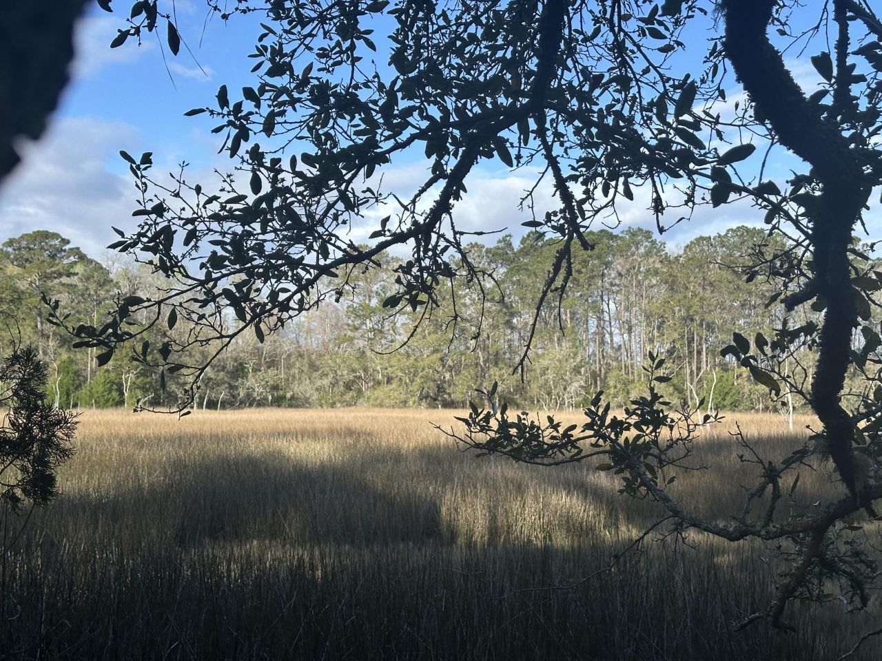 0 Cooke Road Photo 5