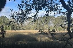 0 Cooke Road photo 4