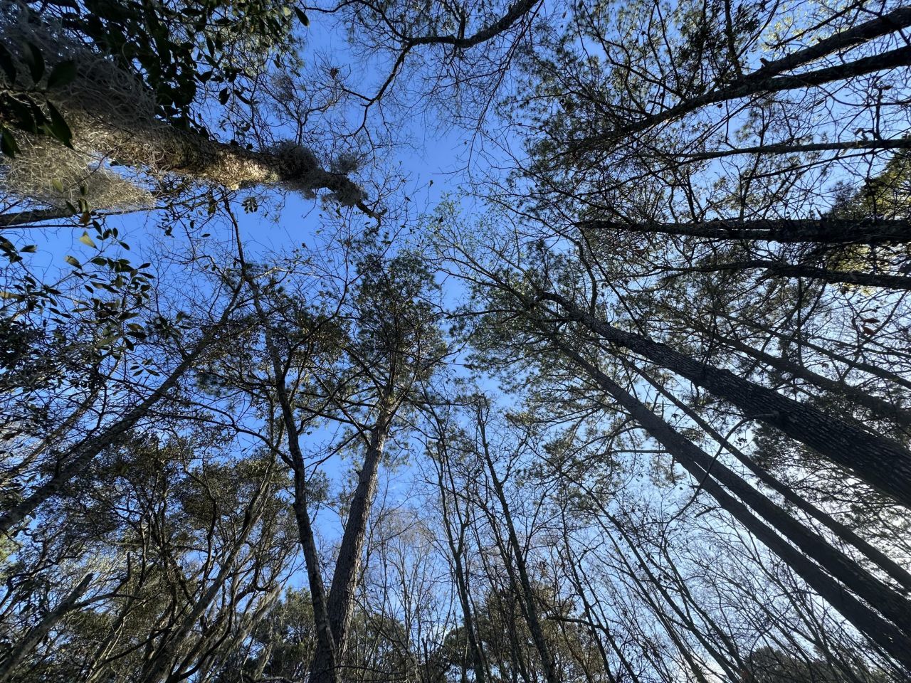 0 Cooke Road Photo 3