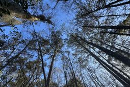 0 Cooke Road photo 4