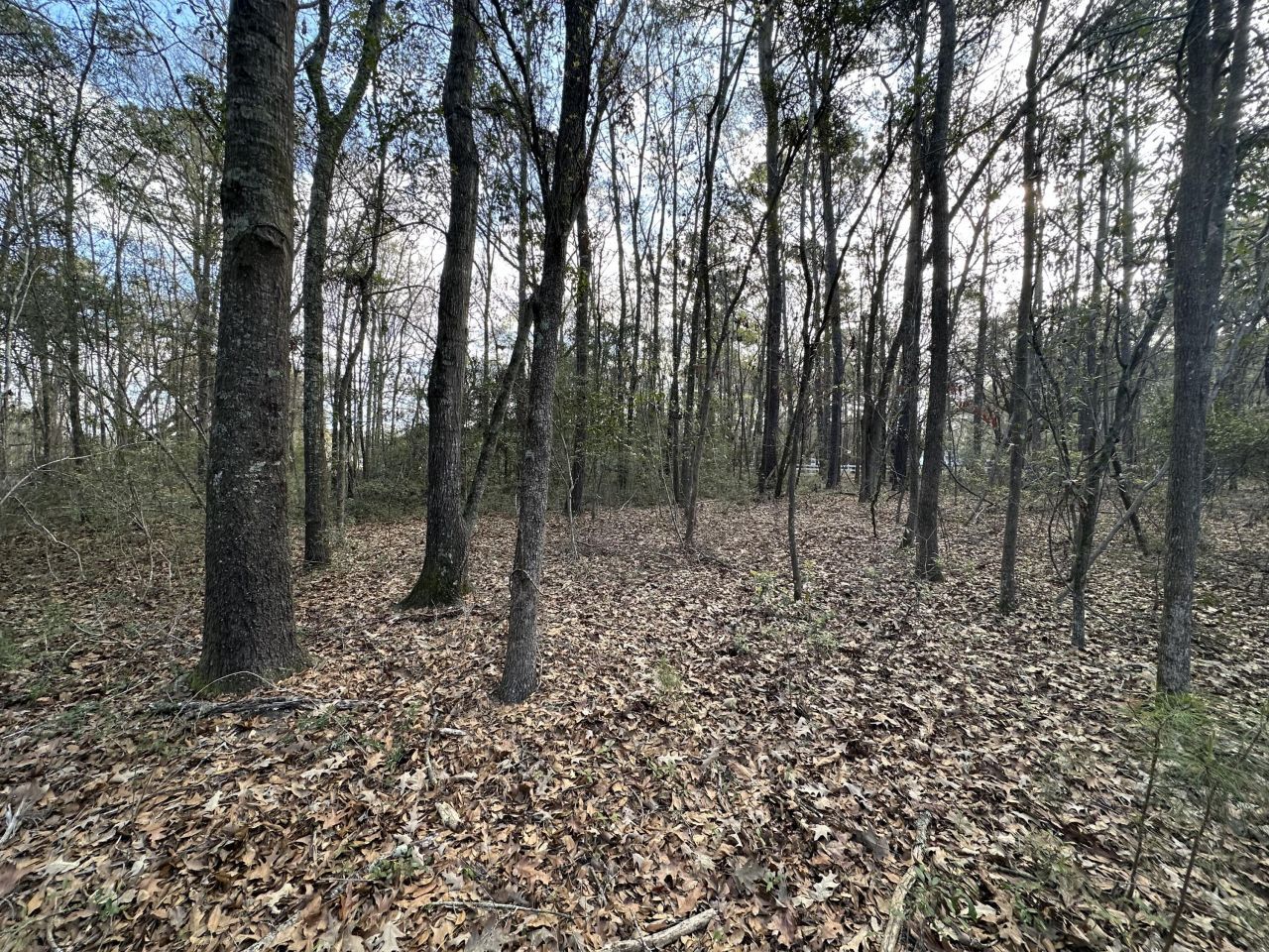 0 Cooke Road Photo 4