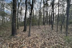 0 Cooke Road photo 4