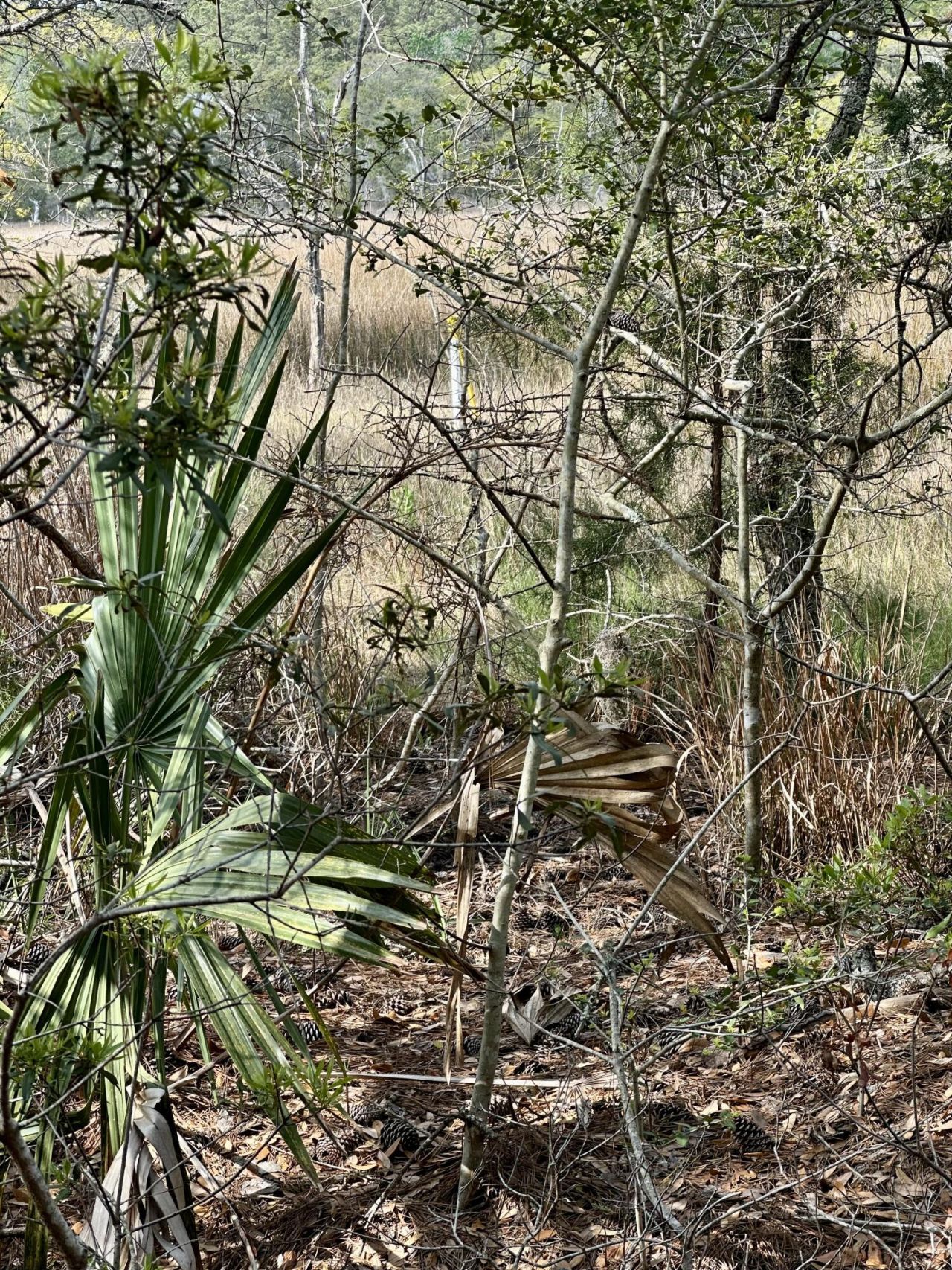 0 Cooke Road Photo 4