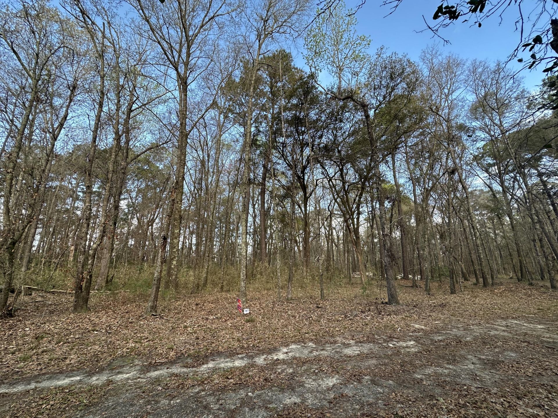 0 Cooke Road Photo 6