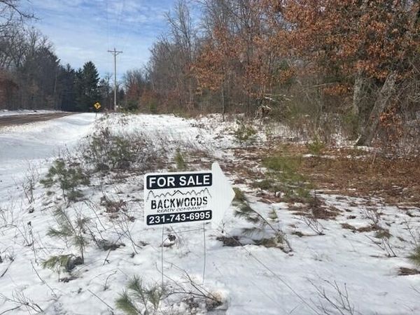 N 5th Avenue, Marion, MI 49665