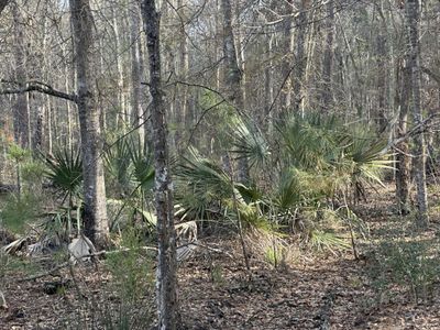 0 Cooke Road, Unit Lot 2, Johns Island, SC 29455