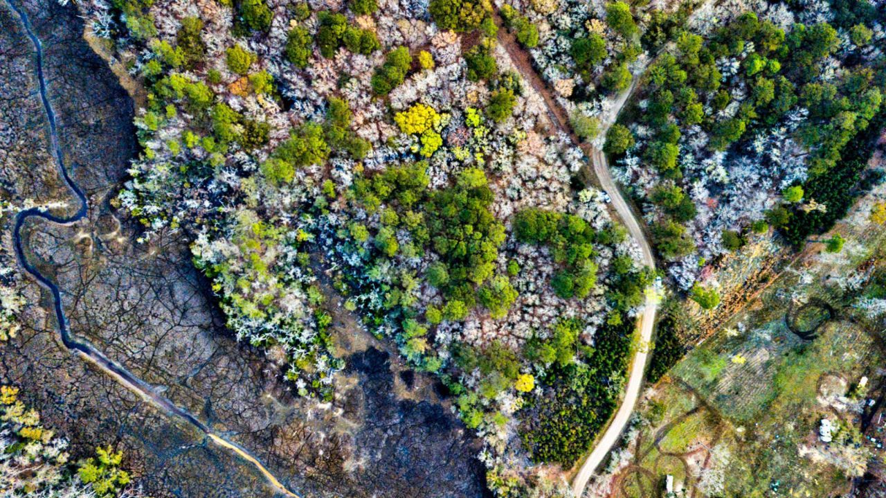 0 Cooke Road Photo 3