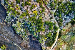 0 Cooke Road photo 4