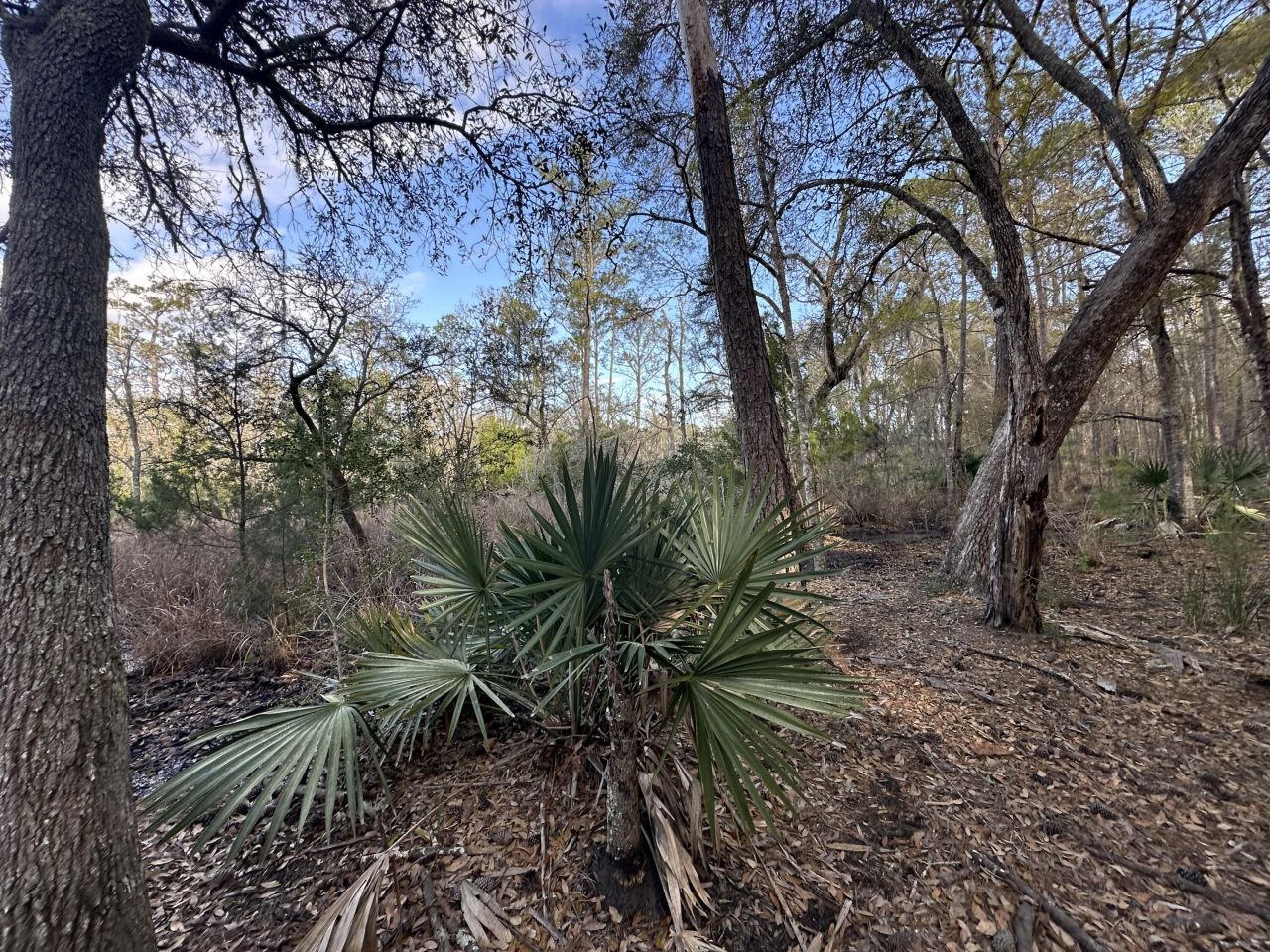 0 Cooke Road Photo 4