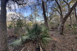 0 Cooke Road photo 4