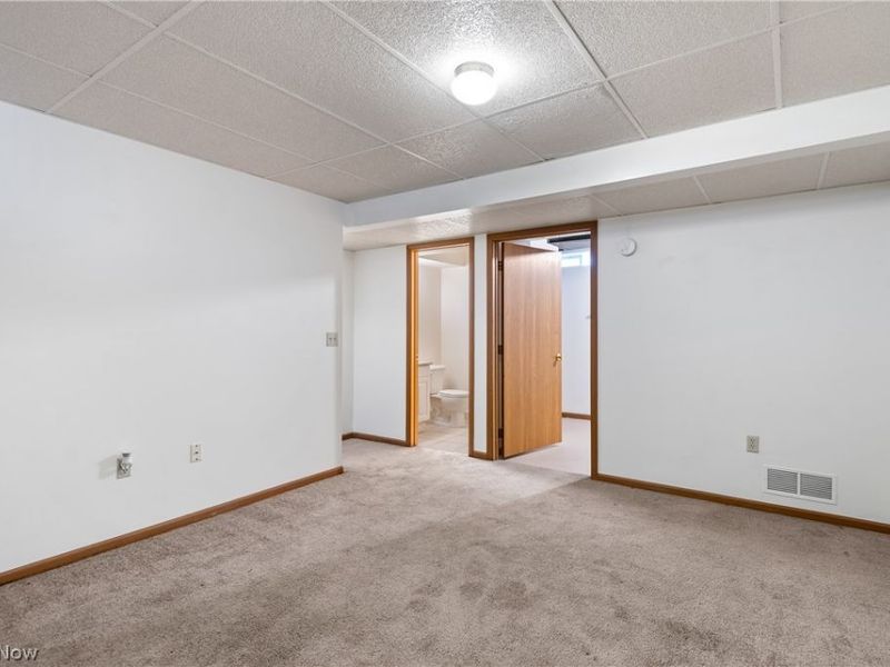 732 Vernon Odom Boulevard, Akron, OH 44307 Photo 17