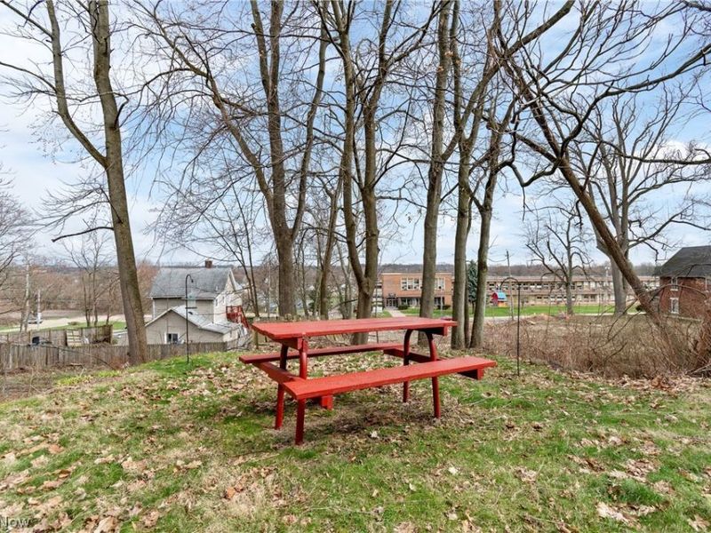 732 Vernon Odom Boulevard, Akron, OH 44307 Photo 24