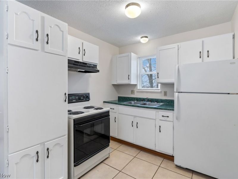 732 Vernon Odom Boulevard, Akron, OH 44307 Photo 3