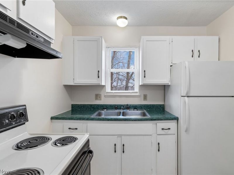 732 Vernon Odom Boulevard, Akron, OH 44307 Photo 4