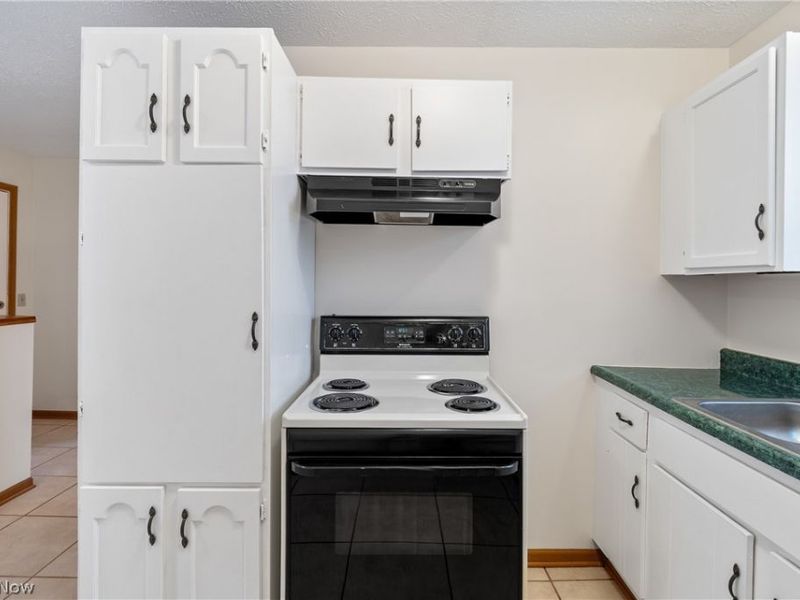 732 Vernon Odom Boulevard, Akron, OH 44307 Photo 5