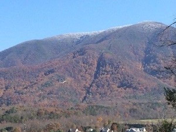 3702 Wears Valley Rd, Sevierville, TN 37862