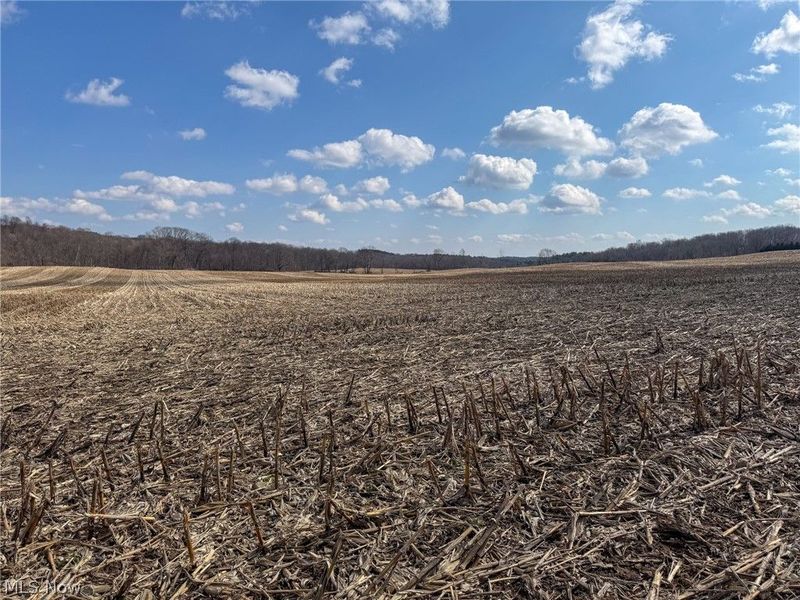 St Rt 603, Lucas, OH 44843 Photo 10